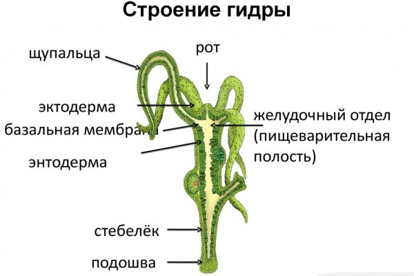 Официальный сайт kraken kraken clear com