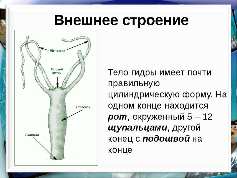 Ссылка кракен kr2web in